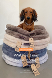 Wat heeft een teckel nodig?
