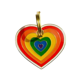 Hondentag rainbow hart