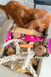 De 3 leukste hondenspeeltjes voor je teckel!