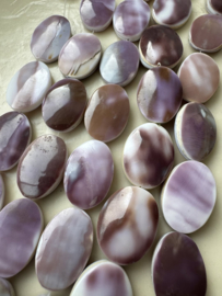 20 x 25mm schelpenkralen | streng 40cm