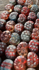 Fossil Snail Beads | per 7 stuks