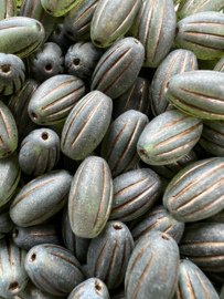 Tsjechische Melon Beads | per 10 stuks