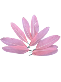 Veerhanger | 60x 30 mm | per 10 st