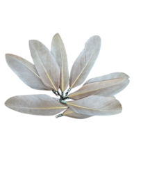 Veerhanger | 60x 30 mm | per 10 st