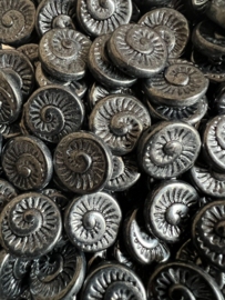 Fossil Snail Beads | per 3 stuks