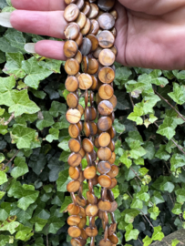 Schelpen kralen plat | 10mm | streng 40cm