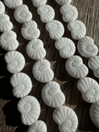 Fossil Snail Beads | per 7 stuks