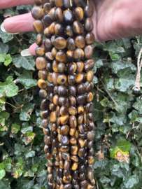 Tigereye 12MM | per streng 40cm