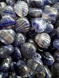 Fossil shell Beads | per 15 gram