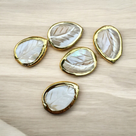 gold plated schelpenkraal | 32 x 24 mm