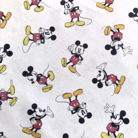 Disney Mickey Original Colour