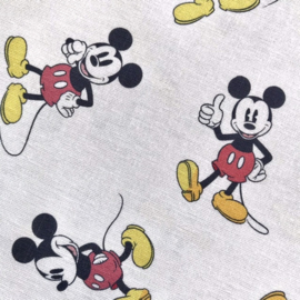 Disney Mickey Original Colour