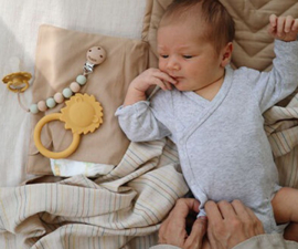 Mushie Teether Lion
