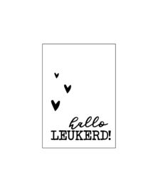 Cadeaukaartje - Hallo Leukerd