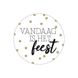 Sticker - Vandaag is het feest - 10 stuks