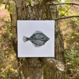 Wandtegel 11cm | Schol | Wad Anders Post Terschelling