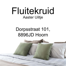 Fluitekruid Aaster uiltje