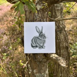Wandtegel 11cm | konijn | Wad Anders Post Terschelling