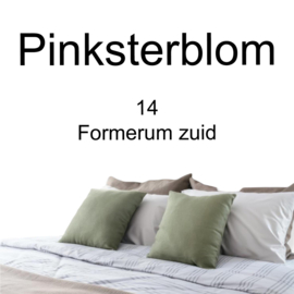 Pinksterblom vakantiehuis Terschelling