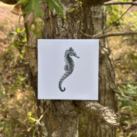 Wandtegel 11cm | zeepaardje | Wad Anders Post Terschelling