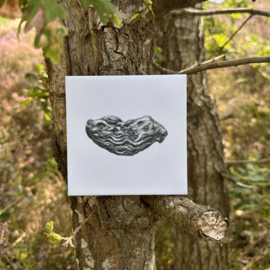 Wandtegel 11cm | oester | Wad Anders Post Terschelling