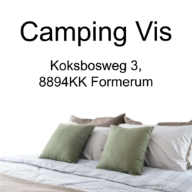 Camping Vis