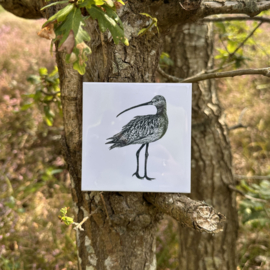 Wandtegel 11cm | Wulp | Wad Anders Post Terschelling