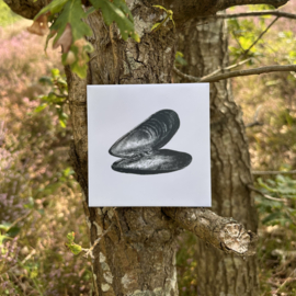 Wandtegel 11cm | mossel | Wad Anders Post Terschelling