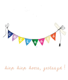 Kaart | Hiep hiep hoera geslaagd