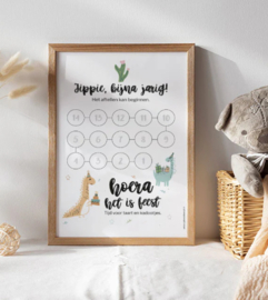 Aftelkalender | Jippie, bijna jarig dino