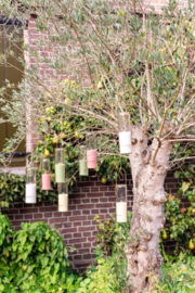 Buitenkaars | Tube roze
