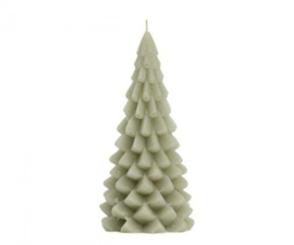 Kerstboomkaars M  | Eucalyptus