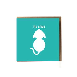Kaart | It's a boy