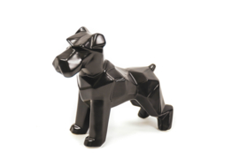 Hond | Zwart