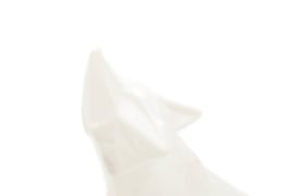 Fox | Wit