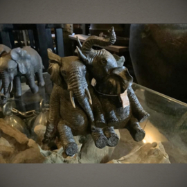 Olifant | Paar