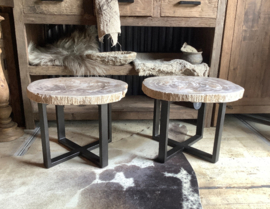 Tafel Versteend Hout