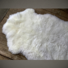 Schapenvacht | XL