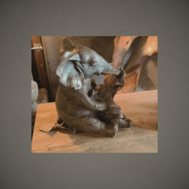 Olifant met kalf