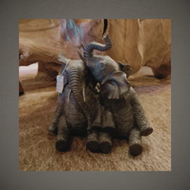 Olifant | Paar