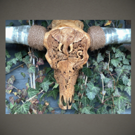 Longhorn Skull | Gegraveerd