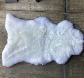 Schapenvacht | Wit