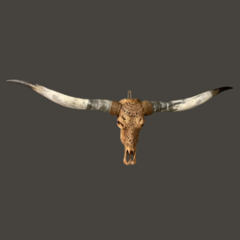 Longhorn Skull | Gegraveerd