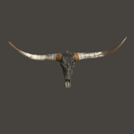 Longhorn Skull | Gegraveerd