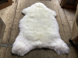 Schapenvacht | XL