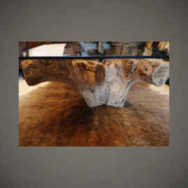 Tafel Teakhout-wortel en Glasplaat