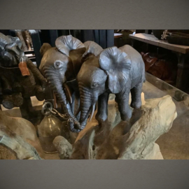 Olifant | Slurf in slurf