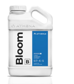 Athena Bloom B 3.78 Liter