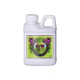 Advanced Nutrients Big Bud 250 ml