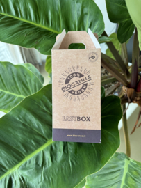 BIOCANNA Easybox